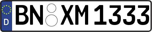 BN-XM1333