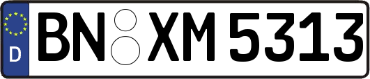 BN-XM5313