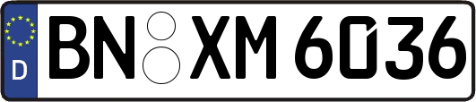 BN-XM6036