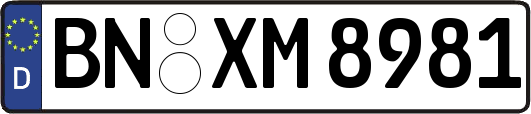 BN-XM8981