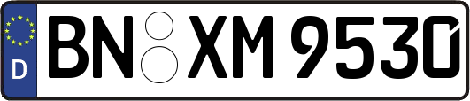 BN-XM9530