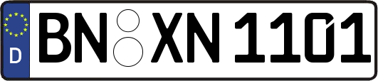 BN-XN1101