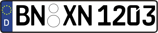BN-XN1203