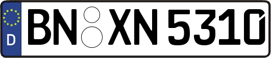 BN-XN5310