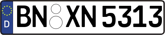 BN-XN5313