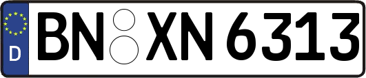 BN-XN6313