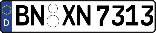 BN-XN7313
