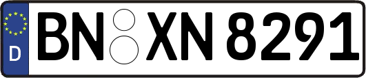 BN-XN8291