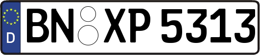 BN-XP5313