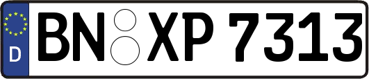 BN-XP7313