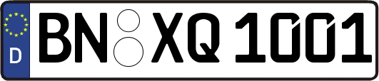 BN-XQ1001