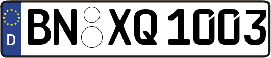 BN-XQ1003