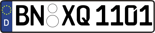 BN-XQ1101