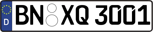 BN-XQ3001