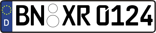 BN-XR0124