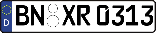BN-XR0313