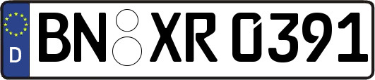 BN-XR0391
