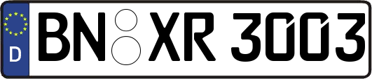 BN-XR3003