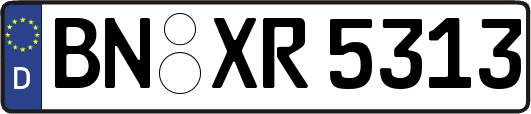 BN-XR5313