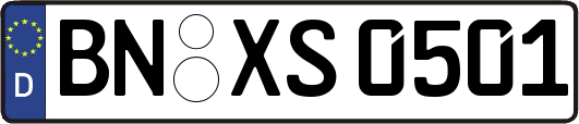 BN-XS0501