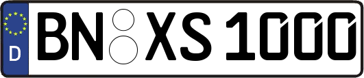 BN-XS1000