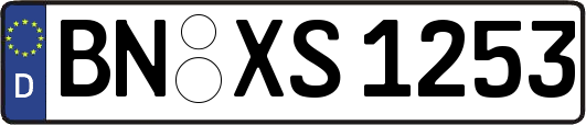 BN-XS1253