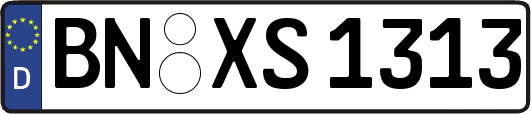 BN-XS1313