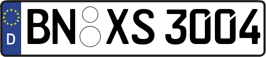 BN-XS3004
