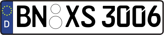 BN-XS3006