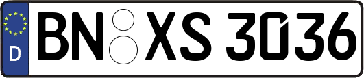 BN-XS3036