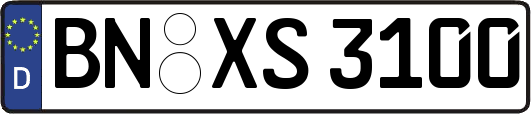 BN-XS3100