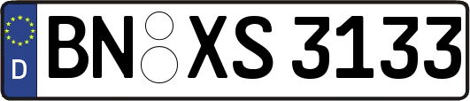 BN-XS3133