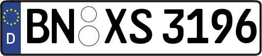 BN-XS3196