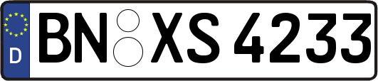 BN-XS4233
