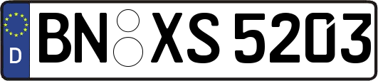 BN-XS5203