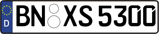 BN-XS5300