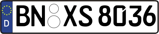 BN-XS8036
