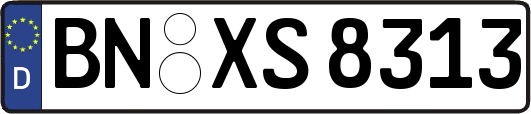 BN-XS8313