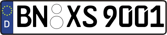 BN-XS9001