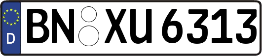BN-XU6313