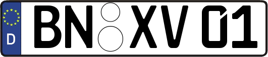 BN-XV01