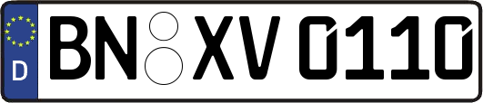 BN-XV0110