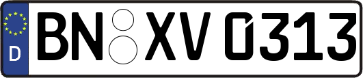 BN-XV0313