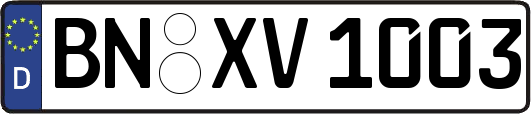 BN-XV1003