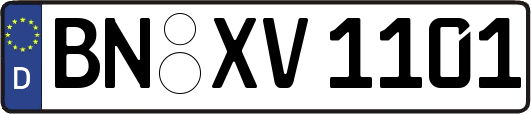 BN-XV1101