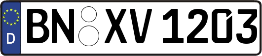 BN-XV1203