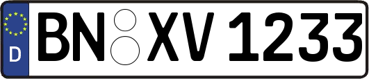BN-XV1233