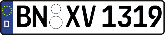 BN-XV1319