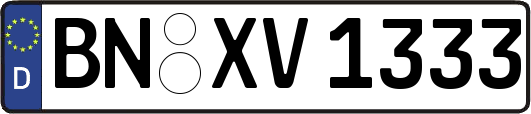 BN-XV1333