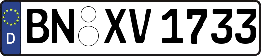 BN-XV1733